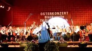 Blaskapelle Gammelsbach - Conny Francis Medley.
