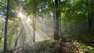 Vernon-Douglas State Nature Preserve - Elizabethtown, KY