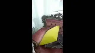 KEDİLERİN EVDE SAKLANABİLECEĞİ YERLER - KEDİ BAKIM REHBERİ