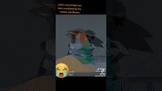 I feel bad for Chilli after this confirmed miscarriage
