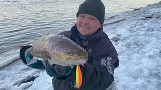 Salaca - поймал 6 лососевых рыб 1 марта! В День Рождения Normunds Grabovskis! Шутки от Normunda!