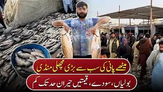 Meethey Pani Ki Machli Khani Tu Yeah Market Chaley Jana | Pakistan Kay Sath