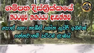ගම්පහෙන් අඩුවට ඉඩමක් අරන් ගෙදරක් හදන්න සුපිරිම පැත්තක්....