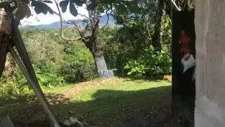 LIFE IN JAMAICA COUNTRYSIDE + FARMING + TOURING THE LAND | JAMAICA VLOG 2021
