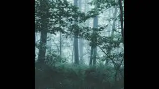 Lucy (slowed) for 1 hour