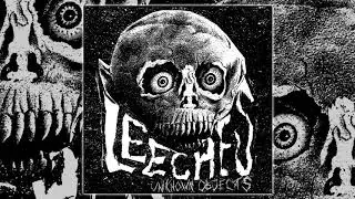 LEECHES - Unknown Objects