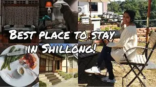 Best place to stay in Shillong, Meghalaya #bestplacestostayinshillongmeghalaya