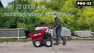 PRO-22 D300