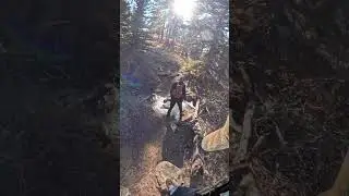 Box canyon from inlet creeks to tarryall creek