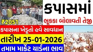 Kapas na bhav | 25-01-2026 | કપાસના ભાવ:2025 | Information about Cotton Crop Price | Commodity trend