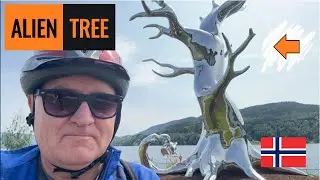 Visiting a Nice CAMPSITE|Watching an ALIEN Tree|Studying a POWER Plant #vanlife #norway #motorhome