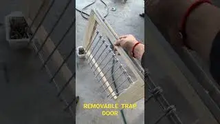 Racing Pigeon Trap Door Modification | Homing Pigeon Bob Trap Door Removable Pt.1