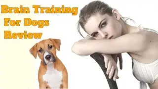 Brain Training For Dogs Review 🐶 | Brain Training For Dogs PDF eBook 📙 Reviews By Adrienne