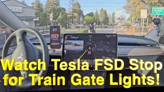 Tesla FSD 13.2.8 identifies a train crossing gate with flashing lights and slows down and stops