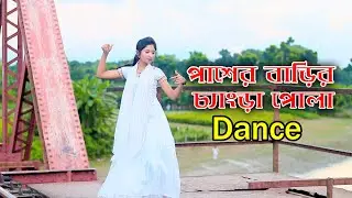 Paser Barir Chengra Pola | পাশের বাড়ির চ্যাংড়া পোলা | Bangladeshi Super Hit Dance | Bangla New Dance