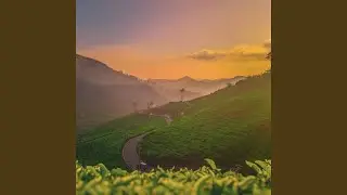 Route 209