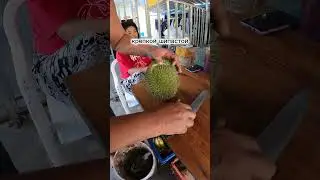 ДУРИАН | САМЫЙ ВОНЮЧИЙ, НО САМЫЙ ВКУСНЫЙ ФРУКТ #путешествие, #экзотическиефрукты, #таиланд, #shorts