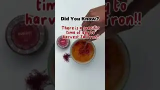 Saffron facts #trending #saffron