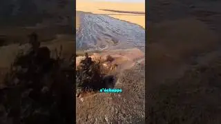 P&eacute;trole brut &agrave; Duba&iuml;.