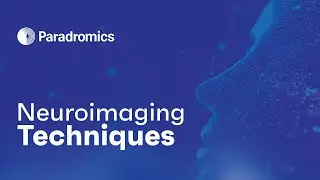 Neuroimaging Techniques: Navigating Modalities, Neural Dynamics, and Interdisciplinary Challenges