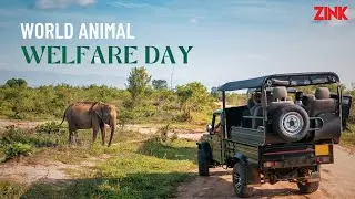 World Animal Welfare Day