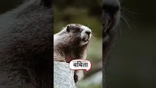 Tag babita #babita #youtuberchannel #funny #comedy