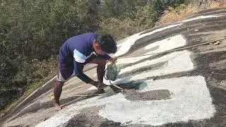 ସଙ୍ଗୁଡ଼ିମାହା ଦାରିଙ୍ଗିବାଡି ରାଇଟ ସରୁ ରେ କଲର ଦୀୟା ହଉଚି 