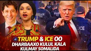 SOMALIDA MARAYKANKA OO TRUMP & ICE DHARBAAXO KULUL KU DHUFTAY