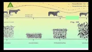 Producci&oacute;n Animal sobre Campo Natural (Parte 1)