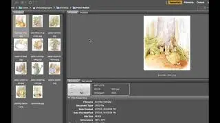 Creating a contact sheet in Bridge 2018