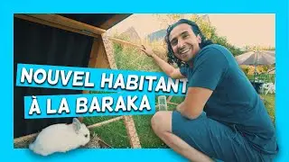 Construction d'un clapier -  DIY avec le bois r&eacute;cup&eacute;r&eacute; de notre r&eacute;novation