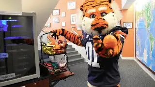 Tiger Giving Day 2024 Teaser Clip