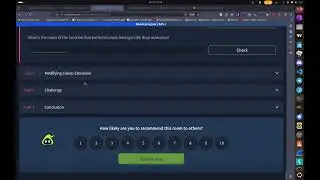 Custom Tooling using Burp TryHackMe WalkThrough