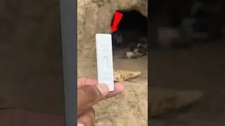 Pregnancy Test Kit Exposed #shorte #outofmindexperiment