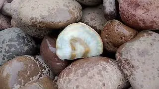 as preciosidades que eu achei.