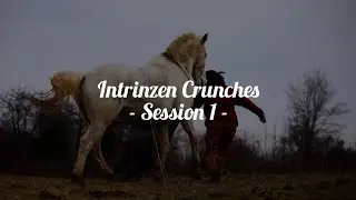 Starting Intrinzen Crunches (voiceover) with a horse that is new to #clickertraining