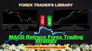 MACD Retrace Forex Trading Strategy