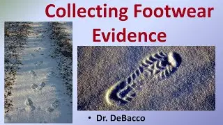 Collecting Footwear Evidence