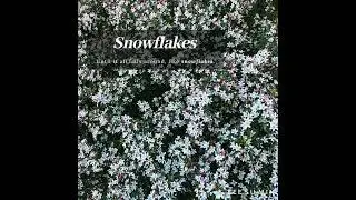 Snowflakes - Lee Su Min