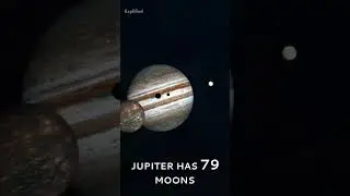 Jupiter Has 79 Moons!   #shorts