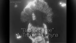 Bird Set Free: A Tribute to Chyna