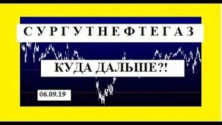 СУРГУТНЕФТЕГАЗ. Обзор акций. 0509