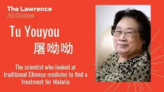 The Story of: Tu Youyou (屠呦呦) | Stories in STEAM | Storytime!