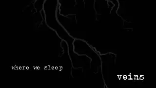 Where We Sleep - Veins
