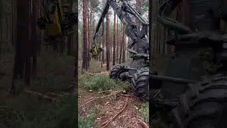 &ldquo;Max productivity with Harvester&rdquo; #lumberjack #forest #harvester #johndeere #viralvideo #automobile