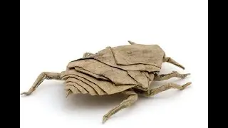 Origami - bed bug (tutorial)