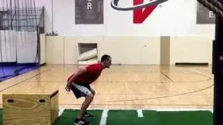 Depth drop hold w/ squat jump