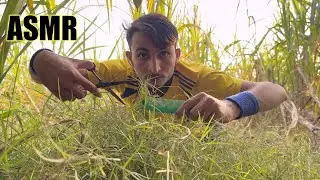 ASMR | Cutting Grass With Scissors ✂️ 