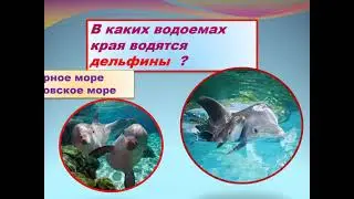 Эко-турне &laquo;Чудеса далеких стран и родной Кубани&raquo;