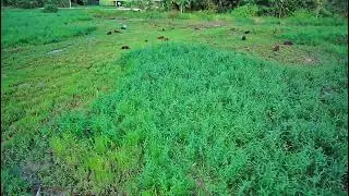 Dron lyzrc Xil 017 2025 video 2